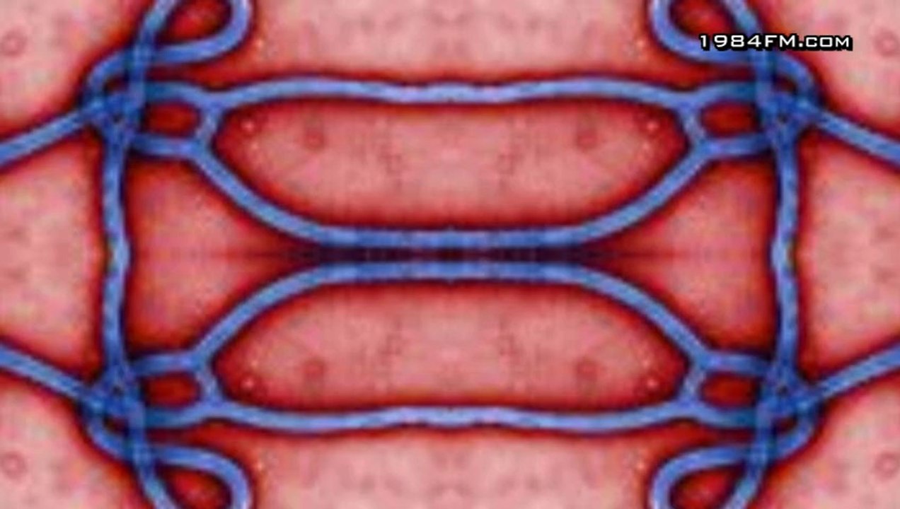 EBOLA Ich wurde gefragt wegen Ebola ob man sich impfen lassen soll?! WTF