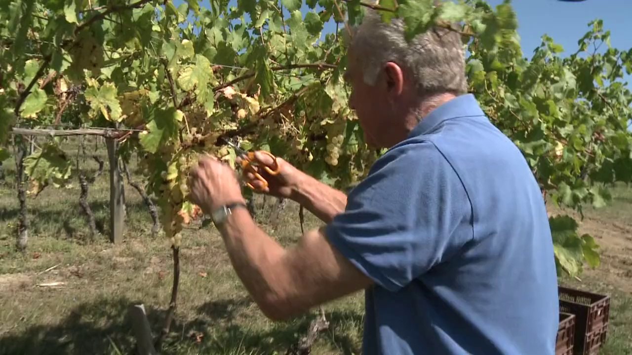 Parkinson liée aux pesticides chez les agriculteurs