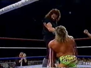 WWF Rampage 91 - Ultimate Warrior vs The