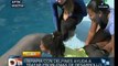 Terapia con delfines, eficaz para niños cubanos con discapacidades