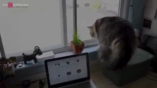 doa-nhau (Toyota camry , Toyota altis, Toyota vios, Toyota innova , Toyota fortuner)