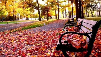 Anatoly Sem – Love and autumn (J.S.Bach - Chorale Prelude f-minor)