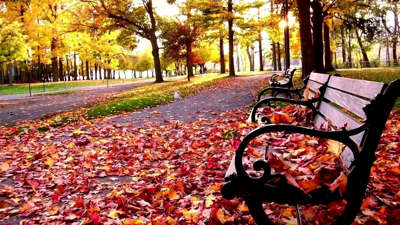 Anatoly Sem (Dinataley) – Love and autumn (J.S.Bach - Chorale Prelude f-minor)