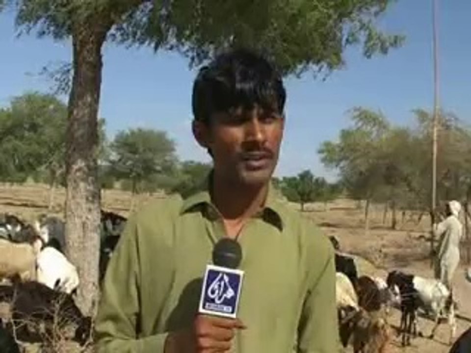 Thar drought
