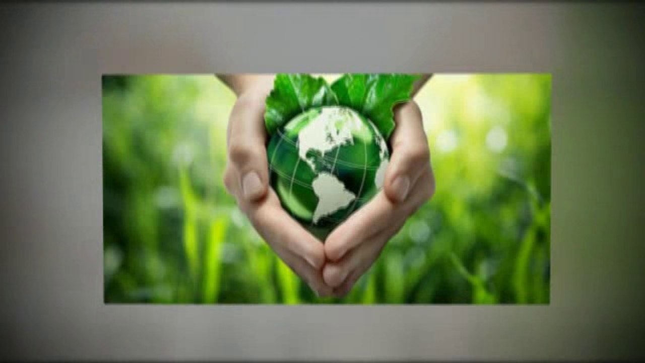 Organic Mattress San Diego - Free From Any Harmful Chemicals