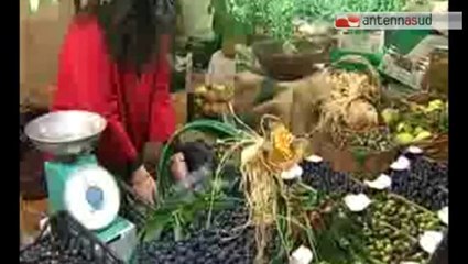 TG 10.10.14 A Sannicandro è tempo di sagre, le olive “regine” del week end