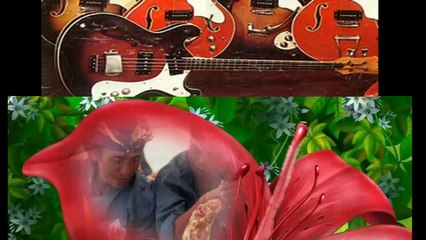 DIXIE ACES (INDO ROCK) Instr Vocal  NR 02