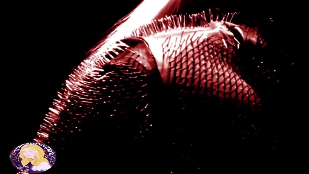 Abstract Vision & Elite Electronic feat Eva Kade - Miracle (MeHiLove Remix)ⓋⒾⒹⒺⓄ