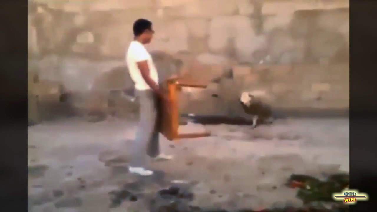 So crazy WTF Compilation - October 2014