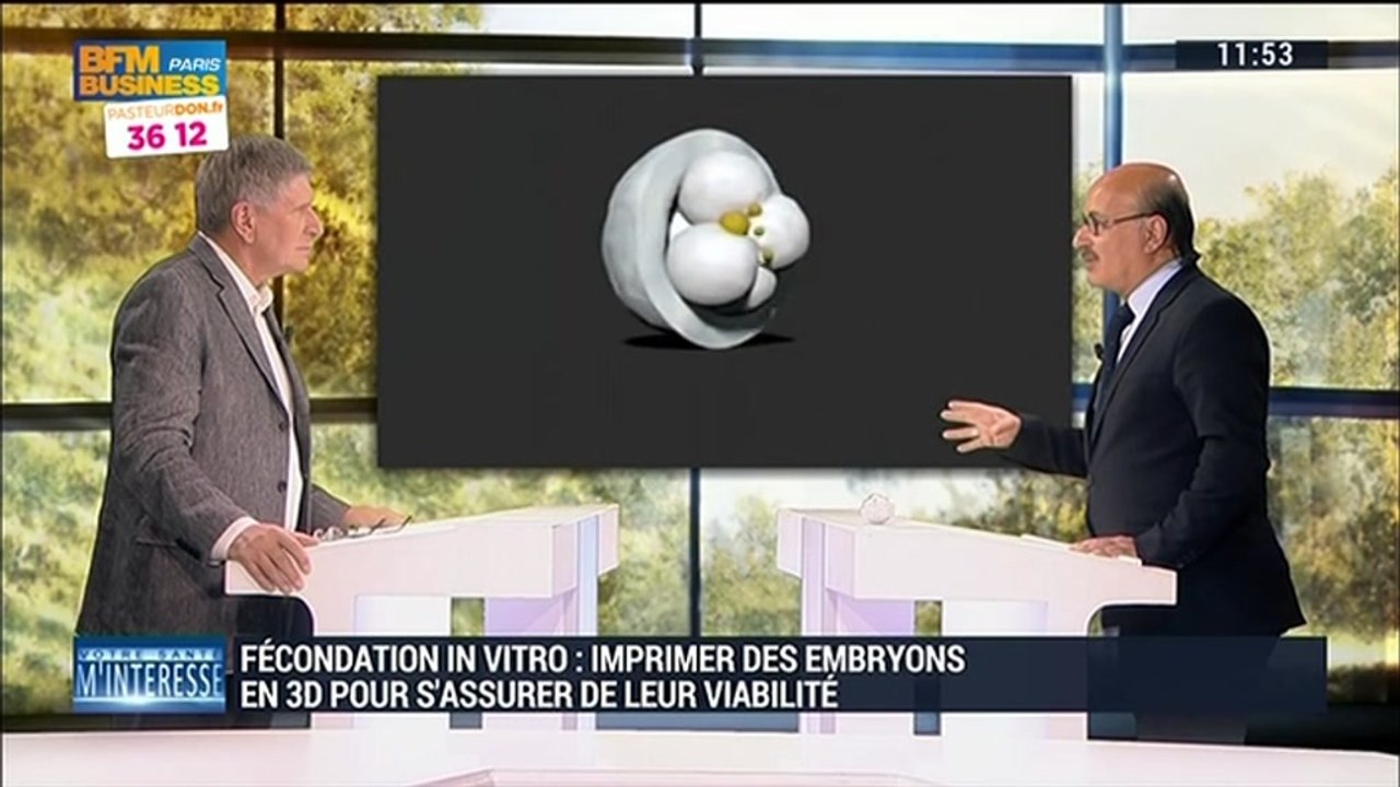 Fécondation in vitro: imprimer les embryons en 3D pour s'assurer de leur viabilité - 11/10