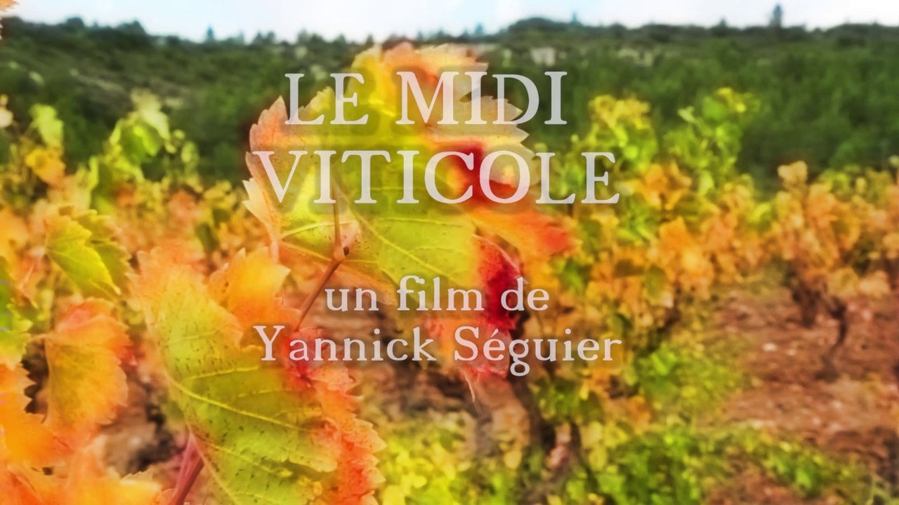 Présentation de la docu fiction "Le midi viticole"