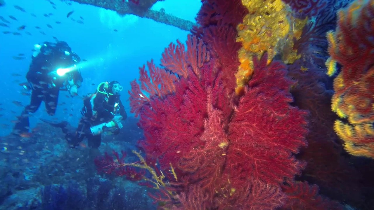 Plongée su l'épave du grec le 5 septembre 2014