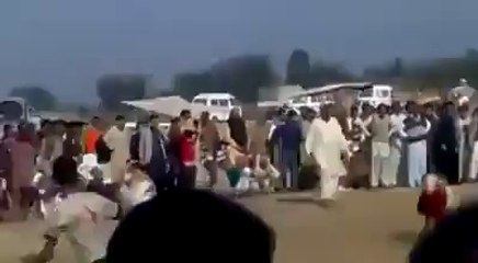 fight between two sheep's interesting.