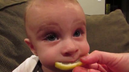 Baby's First Time Tasting a Lemon