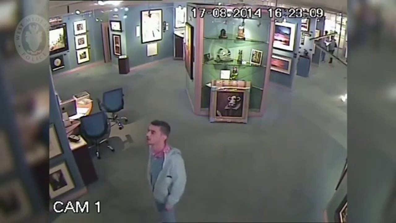 Painting Thief