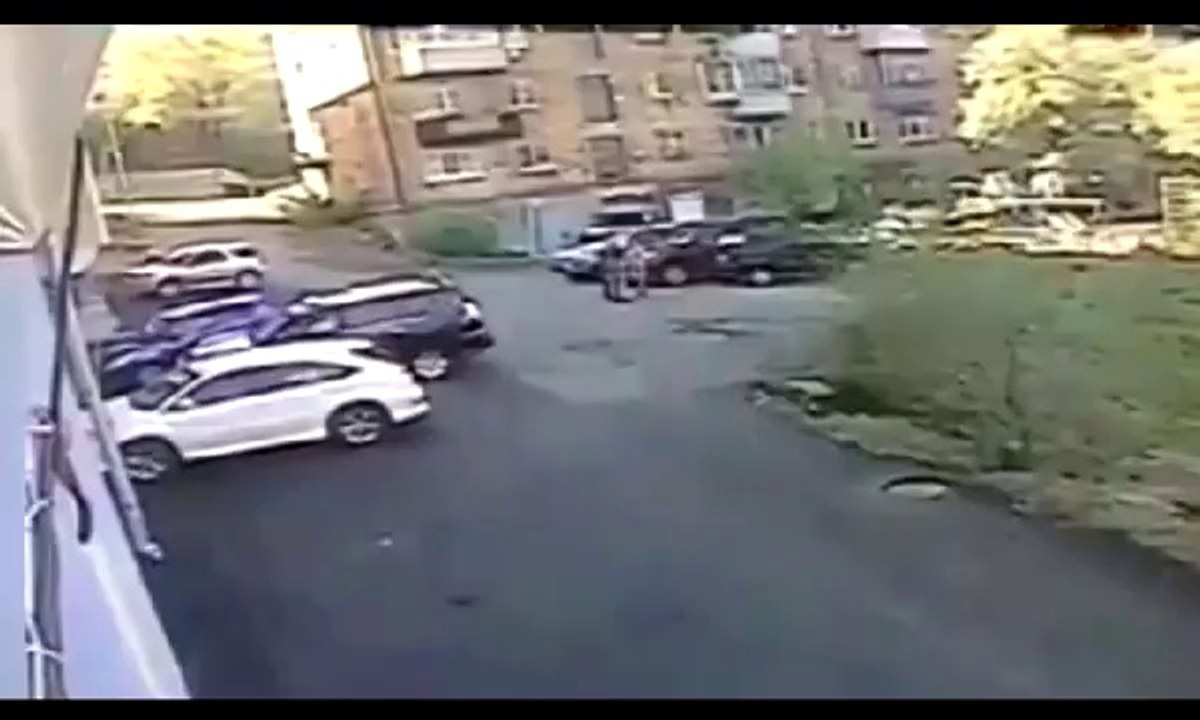 Most Stupid Driver Ever