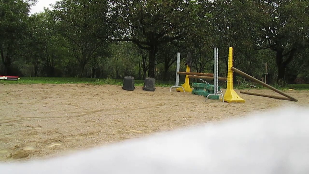 Sky 11-10-14 sauts oxers (3)