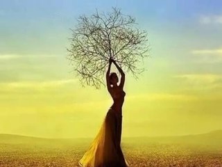 Sound of silence Gheorghe Zamfir