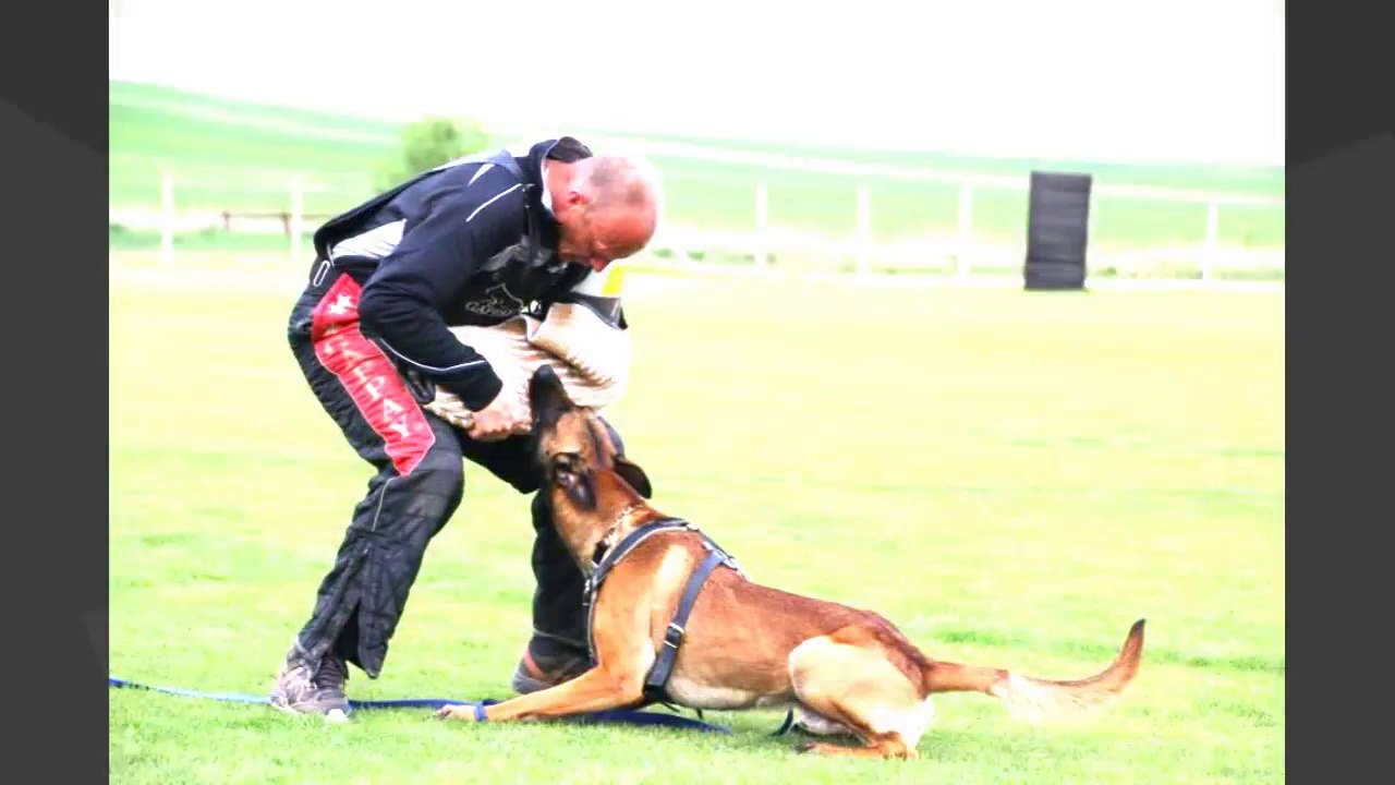 Be Aware F'Stiegl @ Dirk Bäcker- Seminar