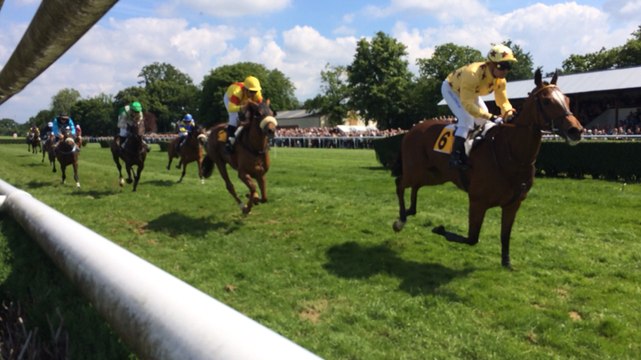 A Vitré, la foule aux courses hippiques