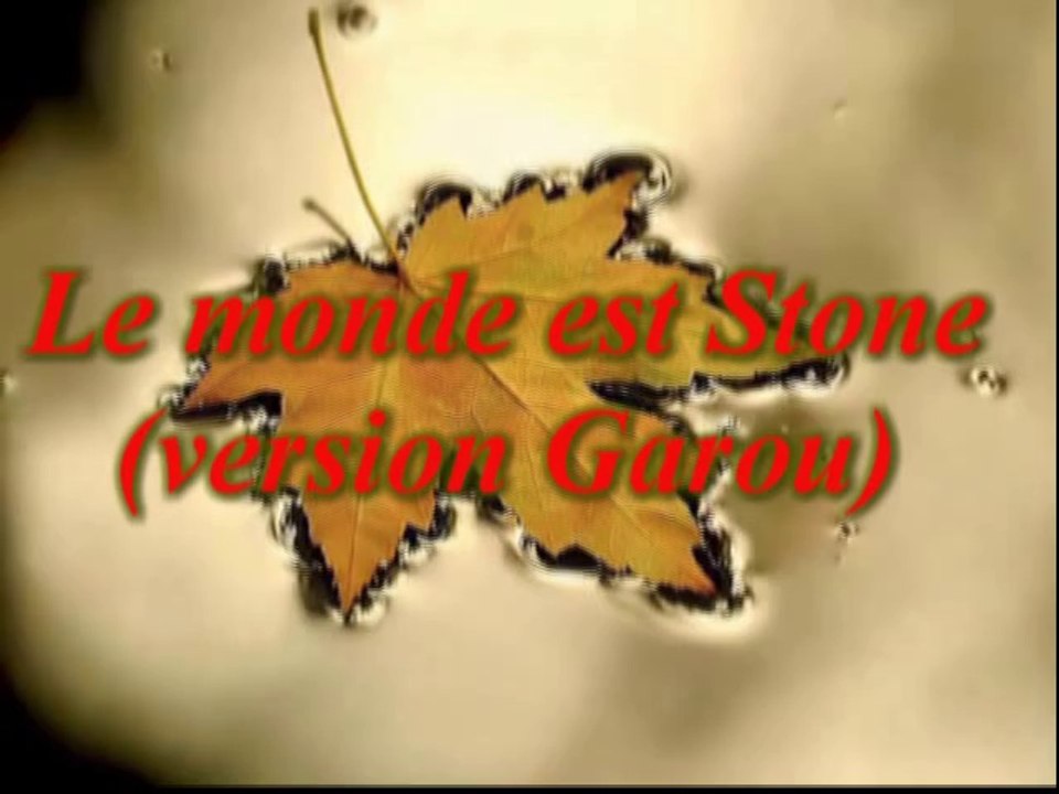 Le monde est Stone