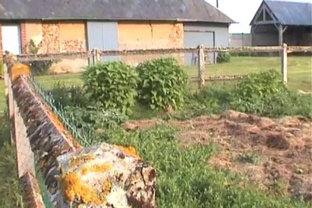 Au Boshion le 31 mai 2014 (pour portable)