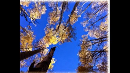 Delight in Luxury and Deluxe Hotels in the summit country Frisco Colorado