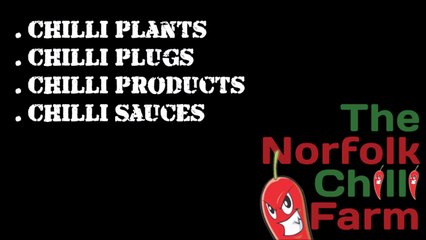 Chilli Plants from the Norfolk Chilli Farm - Online Store