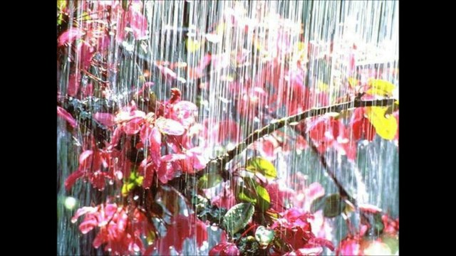 SELAHATTİN KILIÇ & IHLAMURLAR ÇİÇEK AÇTIĞI ZAMAN - ŞİİR : BAHATTİN KARAKOÇ