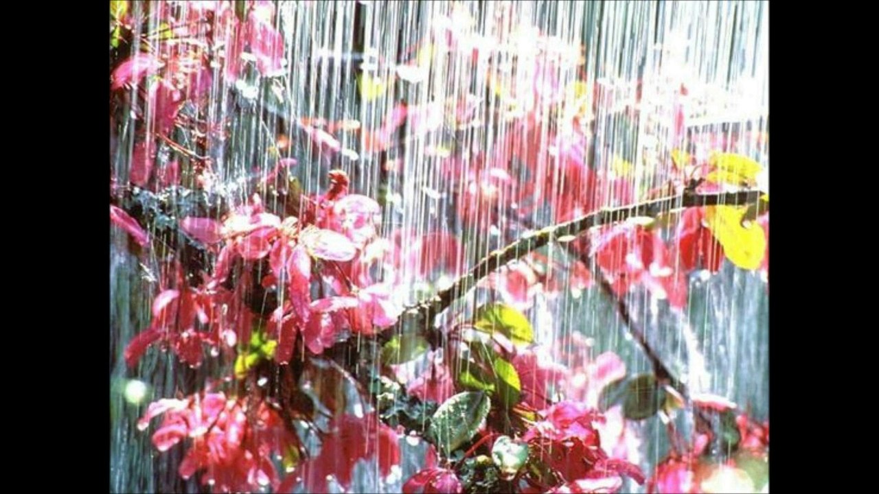 SELAHATTİN KILIÇ &  IHLAMURLAR ÇİÇEK AÇTIĞI ZAMAN - ŞİİR : BAHATTİN KARAKOÇ