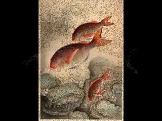 Slideshow to eat Sushi by - Water Music