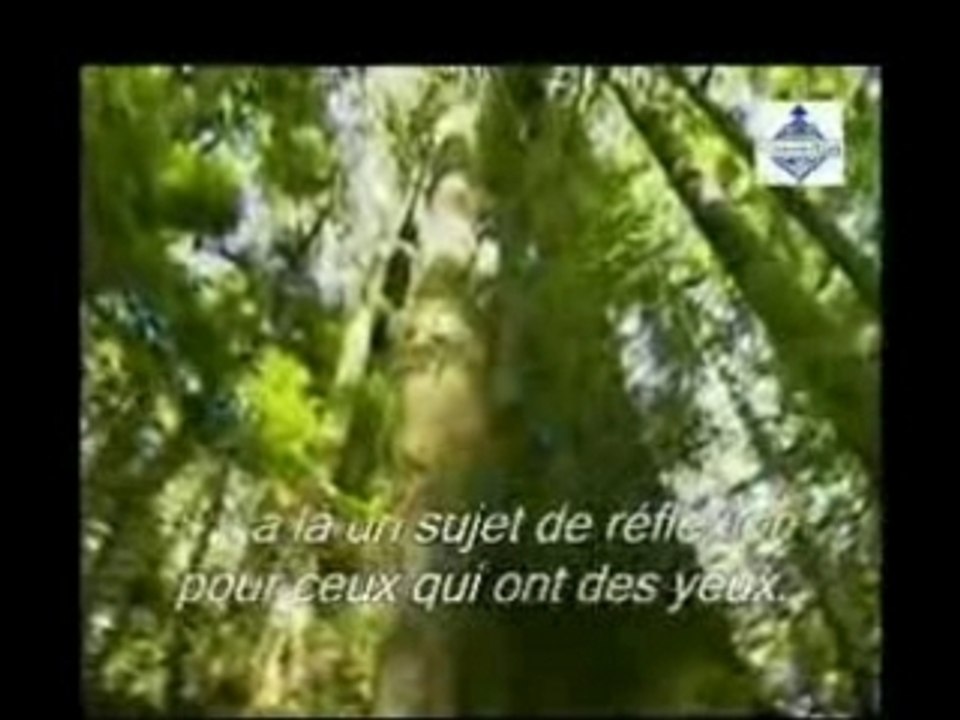 Extrait2