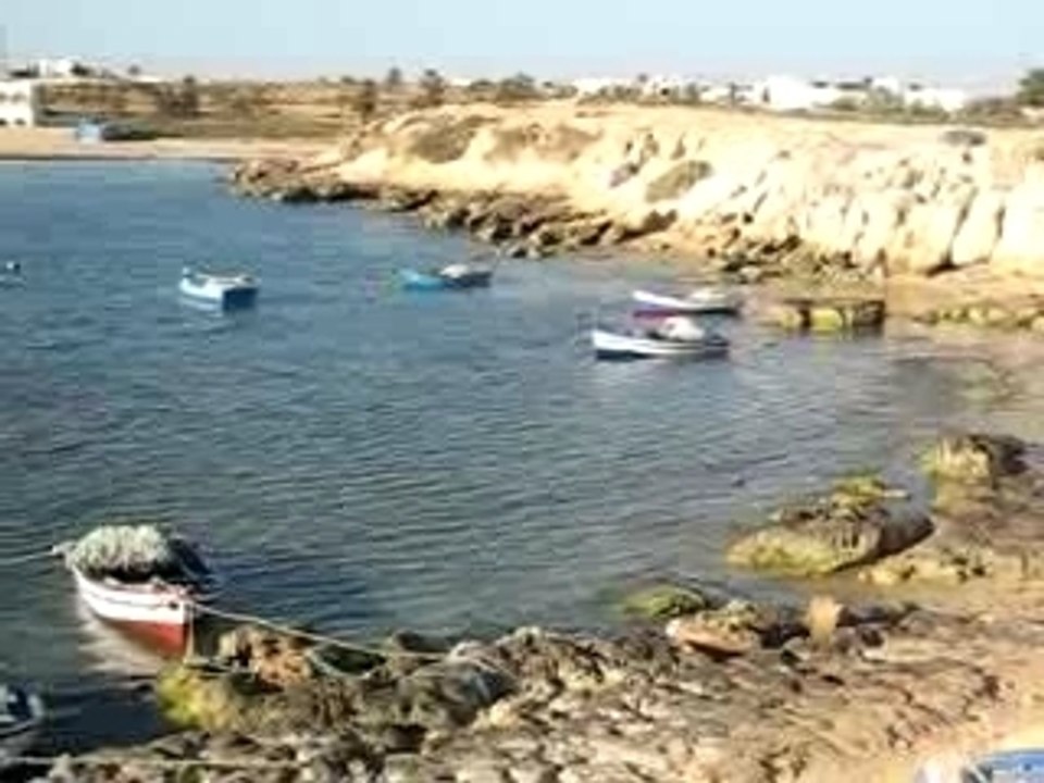 Vidéotunisiejanvier2OO7 009