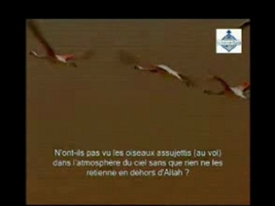 Extrait3