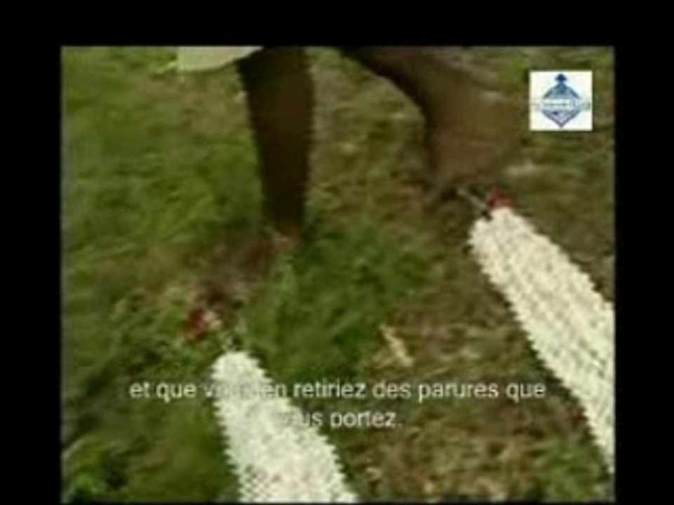 Extrait4