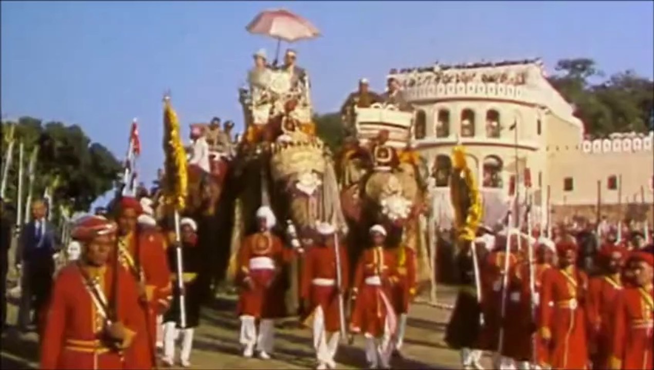 All the Queens Horses Part 2