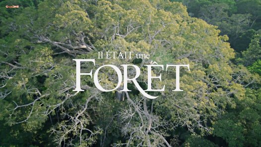 19+ Das Jesus Video Teil 2 Pics