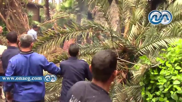 شاهد|| قطع الاشجار بحديقة الحيوان للسيطرة على حريق شب بها