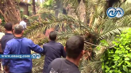 شاهد|| قطع الاشجار بحديقة الحيوان للسيطرة على حريق شب بها