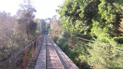 Hey Toe 04 - Zoo Santiago 1