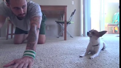 sahibi ile yoga yapan köpek