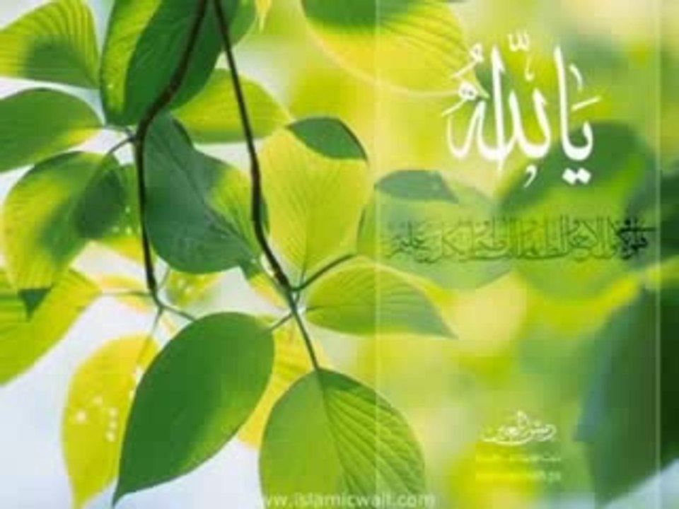 lap py ati ha dua