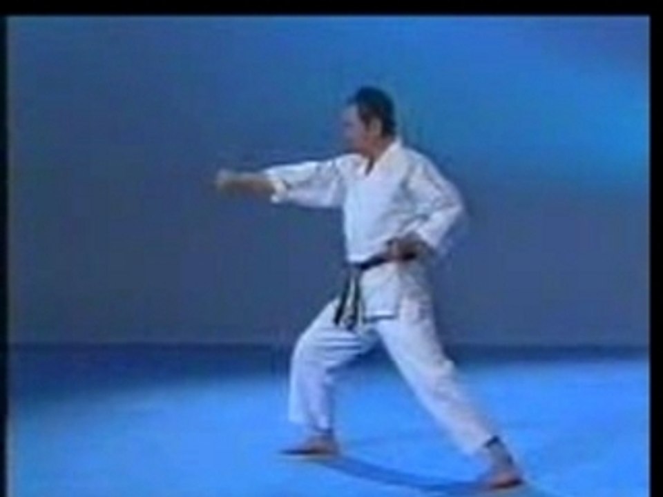 Kata - heian shodan