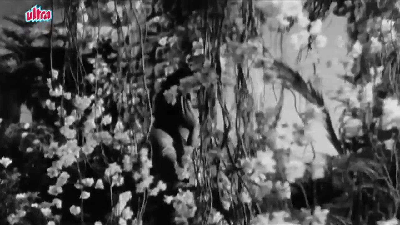 Aaja Sanam Madhur Chandani  Raj Kapoor Nargis Chori Chori Song