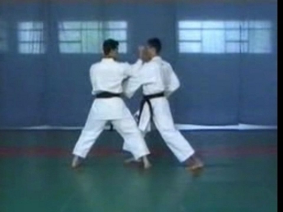 Shotokan kata - luca valdesi - heian san