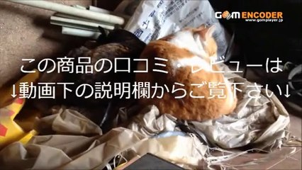 ピンクゴールドスクエアレザーウォッチ・本皮腕時計 評価 評判 感想 画像 写真 動画 レビュー ブログ 口コミ