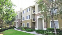 Cambridge Park Apartments in San Diego, CA - ForRent.com