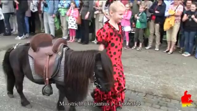 François Lespes à Maastricht Gigantius 2014