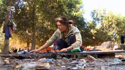 Los indígenas Aché y el cultivo de soja | versión corta |