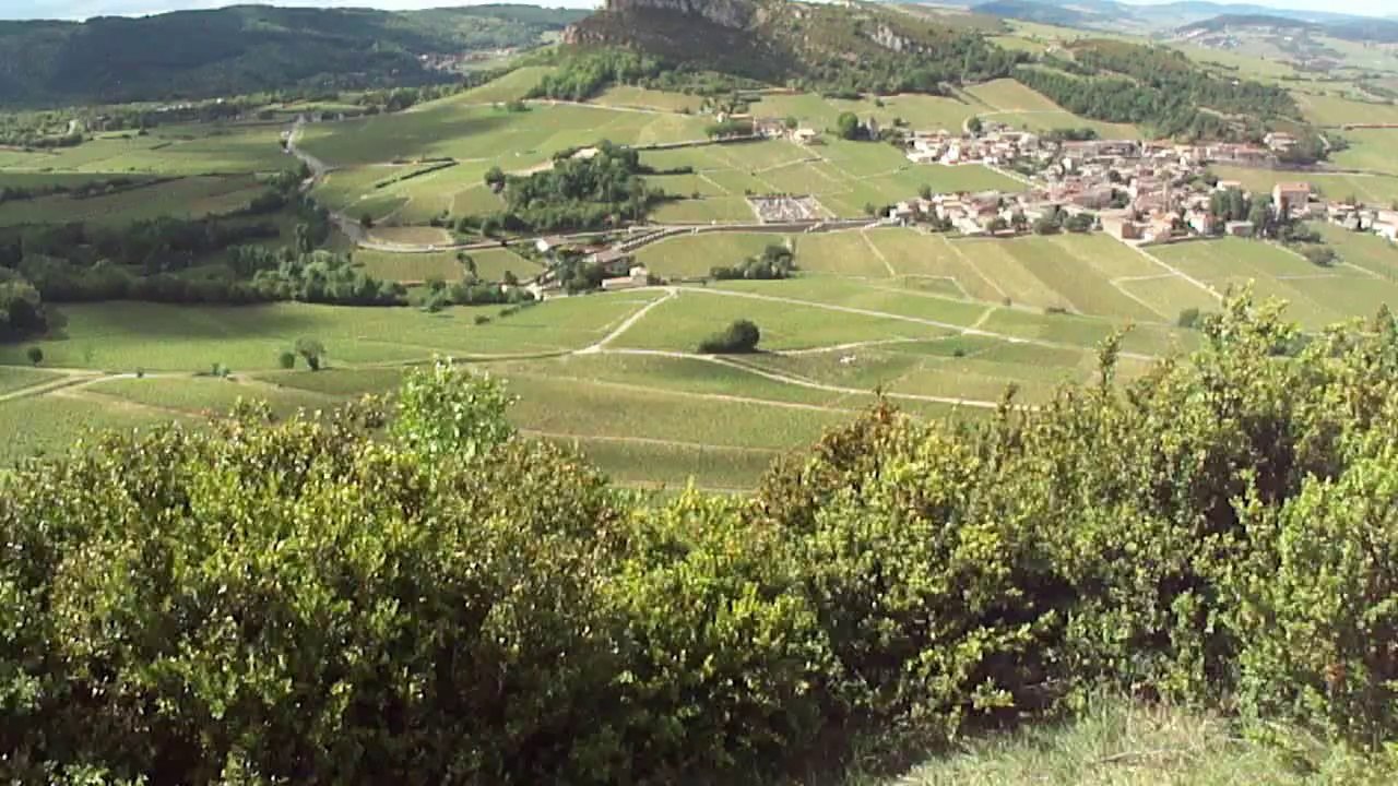 Macon VDP 2014 Fox du 21